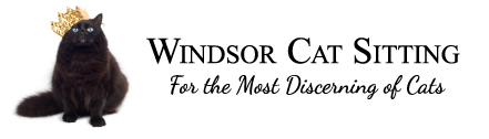 windsor cat sitting logo